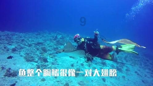 辽宁球员命运多舛！杨鸣跟辽宁益胜解约，郭艾伦伤重没进全明星